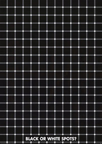 ERIKs blackdot illusion